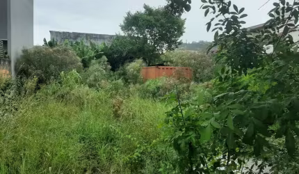 Terreno comercial à venda na Rua Cyro Belli Müller, 59, Santa Mônica, Florianópolis, 360 m2 por R$ 2.600.000
