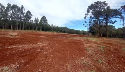 Chácara à venda, 937 m² por R$ 374.000,00 - Zona Industrial - Cascavel/PR