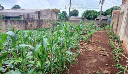 Terreno à venda, 360 m² por R$ 350.000,00 - Brasília - Cascavel/PR