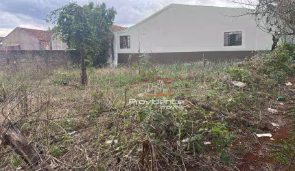 Terreno à venda, 389 m² por R$ 330.000 - Universitário - Cascavel/PR