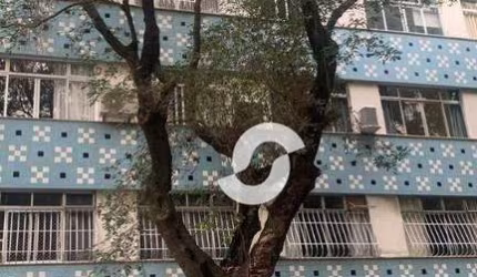 Apartamento à venda, 144 m² por R$ 600.000,00 - Icaraí - Niterói/RJ