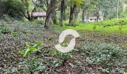 Terreno à venda, 1000 m² por R$ 110.000,00 - Muriqui - Niterói/RJ