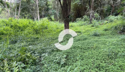 Terreno à venda, 1000 m² por R$ 125.000,00 - Muriqui - Niterói/RJ