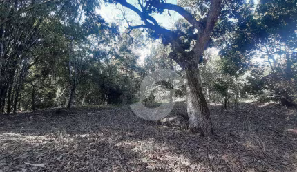 Sítio à venda, 5000 m² por R$ 870.000,00 - Itaipuaçu - Maricá/RJ