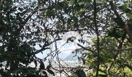 Terreno à venda, 390 m² por R$ 160.000,00 - Loteamento Maravista - Niterói/RJ