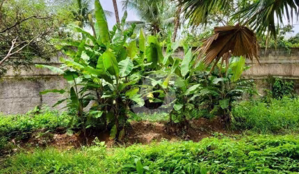 Terreno à venda, 450 m² por R$ 320.000,00 - Engenho do Mato - Niterói/RJ