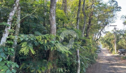 Terreno à venda, 340 m² por R$ 160.000,00 - Loteamento Maravista - Niterói/RJ