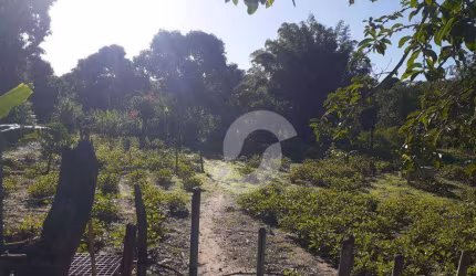 Terreno de 4753m² em Cabuçu