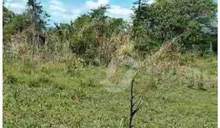 Lotes com potencial para construção de condomínio.