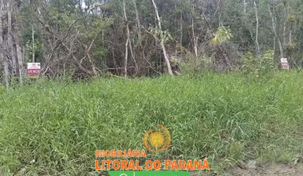 Terreno em Loteamento -Balneário Praia Grande - Matinhos