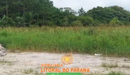 Área com 3 Excelentes Terrenos 1.965m² Localizado de Frente para a  Rodovia