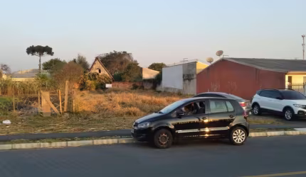 Terreno para Venda em São José dos Pinhais, Guatupê