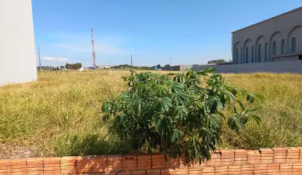 Terreno à venda no Jardim Pinheiro, São Manuel , 1766 m2 por R$ 845.000