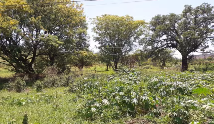 Terreno à venda na Rua Mário dos Reis Pereira, Residencial Parque Colina Verde, Bauru, 67506 m2 por R$ 10.600.000