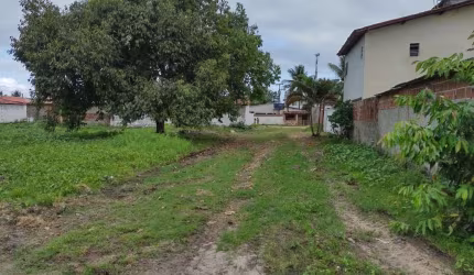 Terreno à venda, 250 m² por R$ 35.000,00 - Centro - Lucena/PB