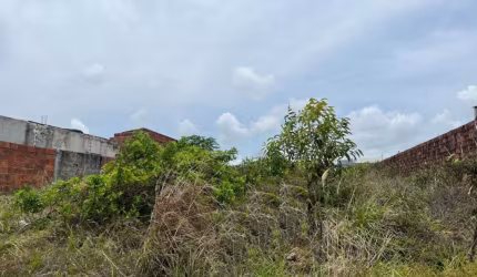 Terreno à venda, 250 m² por R$ 100.000 - Cidade Balneária Novo Mundo I - Conde/PB