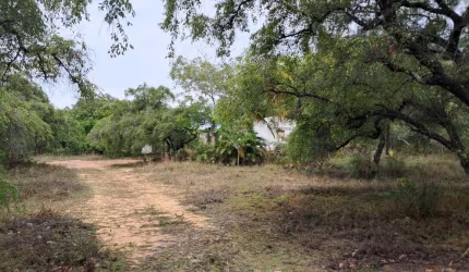 Terreno à venda, 11701 m² por R$ 250.000,00 - Planalto Boa Esperança - João Pessoa/PB