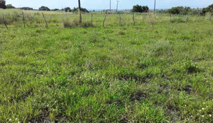 Terreno à venda, 2250 m² por R$ 90.000,00 - Enseada de Jacumã - Conde/PB