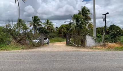 Sítio Rural à venda, Centro, Alhandra - .
