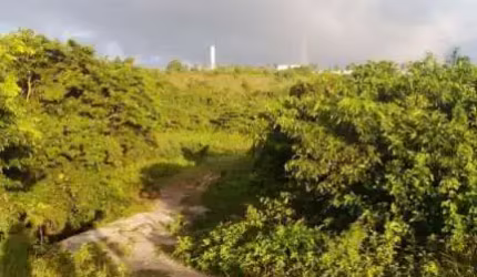 Fazenda com 3 dormitórios à venda, 4777 m² por R$ 4.000.000,00 - Centro - Conde/PB