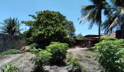 Terreno à venda, 400 m² por R$ 100.000,00 - Barra de Gramame - João Pessoa/PB