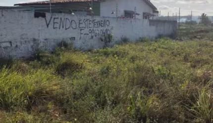 Terreno à venda, 275 m² por R$ 30.000,00 - Planta de Lucena - Lucena/PB