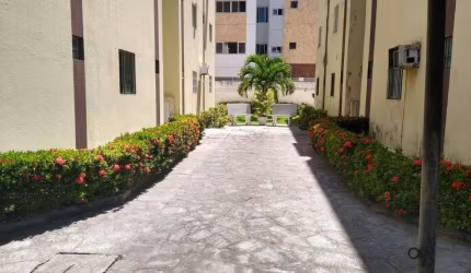 Apartamento com 2 dormitórios à venda, 52 m² por R$ 165.000,00 - Jardim Cidade Universitária - João Pessoa/PB