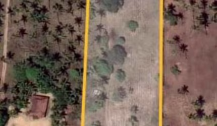 Terreno à venda, 12.000 m² por R$ 210.000 - Jardim Primavera - Conde/PB
