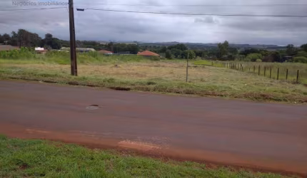 Terreno, 5205 m² - venda por R$ 3.500.000,00 ou aluguel por R$ 5.000,00/mês - Conjunto Vivi Xavier - Londrina/PR