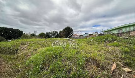 Terreno à venda Vila Estrela