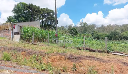 Terreno à venda Colônia Dona Luiza