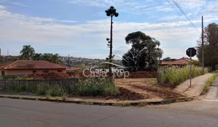 Terreno à venda Órfãs
