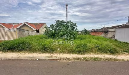 Terreno à venda Parque dos Pinheiros