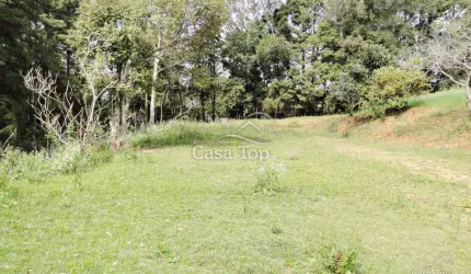 Terreno à venda Cinto Verde - Uvaranas
