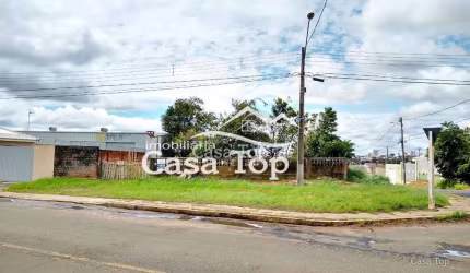 Terreno comercial à venda Boa Vista