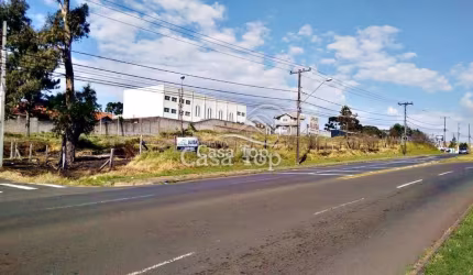 Terreno para alugar Jardim Carvalho