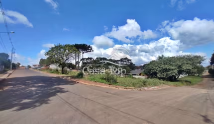 Terreno à venda Colônia Dona Luiza