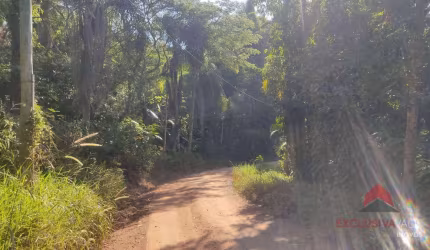 Terreno à venda, 5000 m² por R$ 190.000,00 - Canaã - Jambeiro/SP