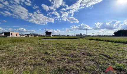 Excelente Terreno Plano à venda, 250 m² por R$ 305.000 - Jardim das Flores - São José dos Campos/SP