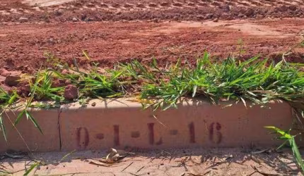 Terreno plano  200 m