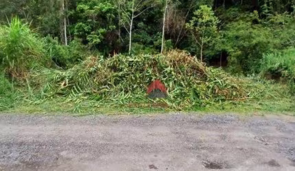 Terreno à venda, 737 m² por R$ 270.000,00 - Massaguaçu - Caraguatatuba/SP