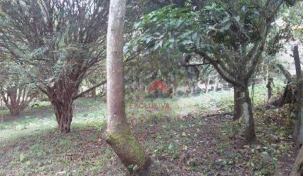Chácara com 2 dormitórios à venda, 8000 m² por R$ 900.000,00 - Putim - São José dos Campos/SP