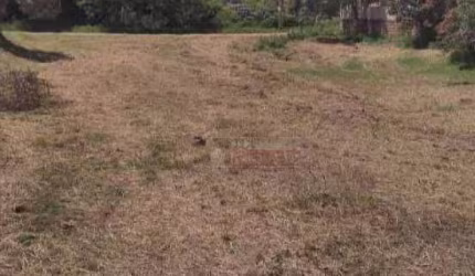 Terreno à venda, 1250 m² por R$ 140.000,00 - Jardim da Balsa I - Americana/SP