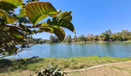 Chácara com 2 dormitórios à venda, 17400 m² por R$ 2.700.000 - Chácara Letônia - Americana/SP