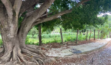 Vendo lote no Padre Eustáquio com 300m² de esquina em ótima localização!