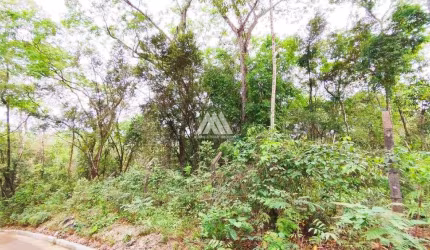 Vendo chácara em Itatiaiuçu de 1000m² excelente localização.