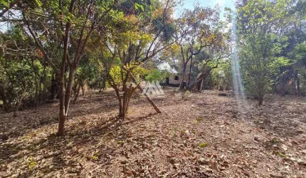 Vendo chácara de 1000m² com excelente localização!
