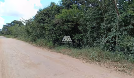 Vendo terreno em Itatiaiuçu de 65.000m² com uma excelente localização.
