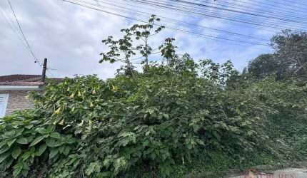 Terreno à venda, 510 m² por R$ 550.000,00 - Maitinga - Bertioga/SP