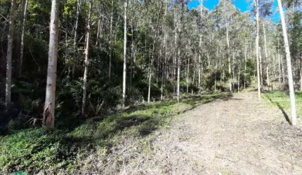 Chácara / sítio à venda no Estrada das Areias, Indaial  por R$ 430.000